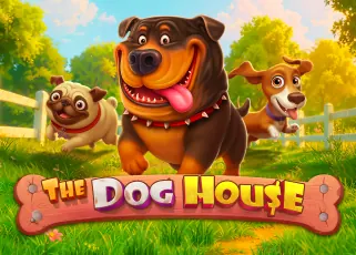 cosmo365 ดีไหม The Dog House ทดลองเล่นฟรี